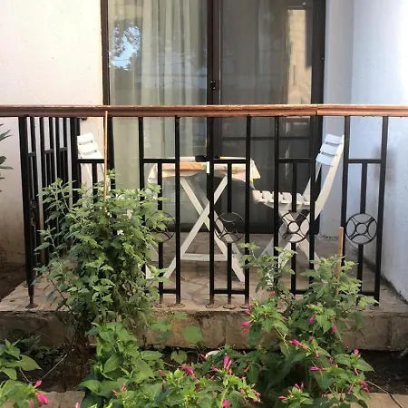 семеен свети петър